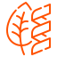 Plant Protein